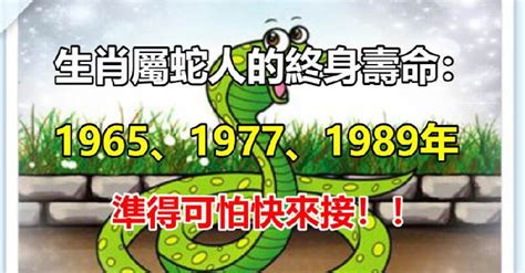 1989 屬蛇|【1989 屬】1989屬蛇終極指南：壽命揭秘、最佳配對、轉運秘訣。